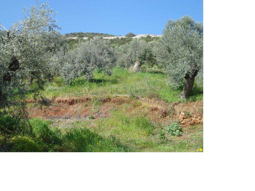 Apartmán Athina Ecofarm Epidaurus Exteriér fotografie