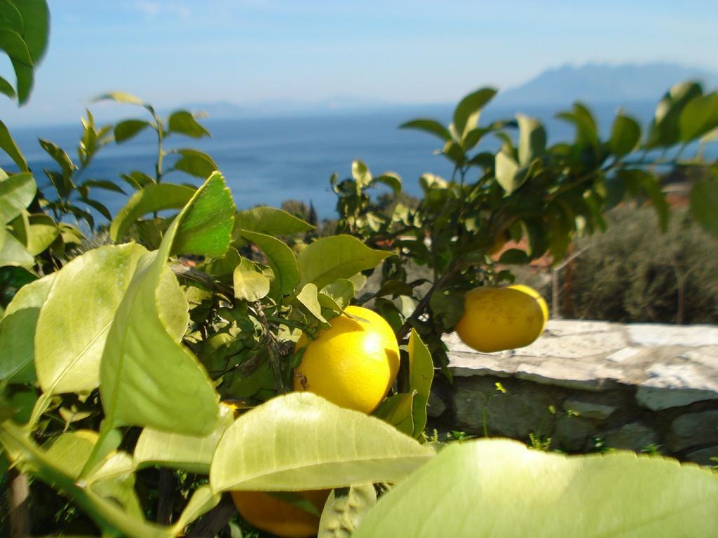 Apartmán Athina Ecofarm Epidaurus Exteriér fotografie