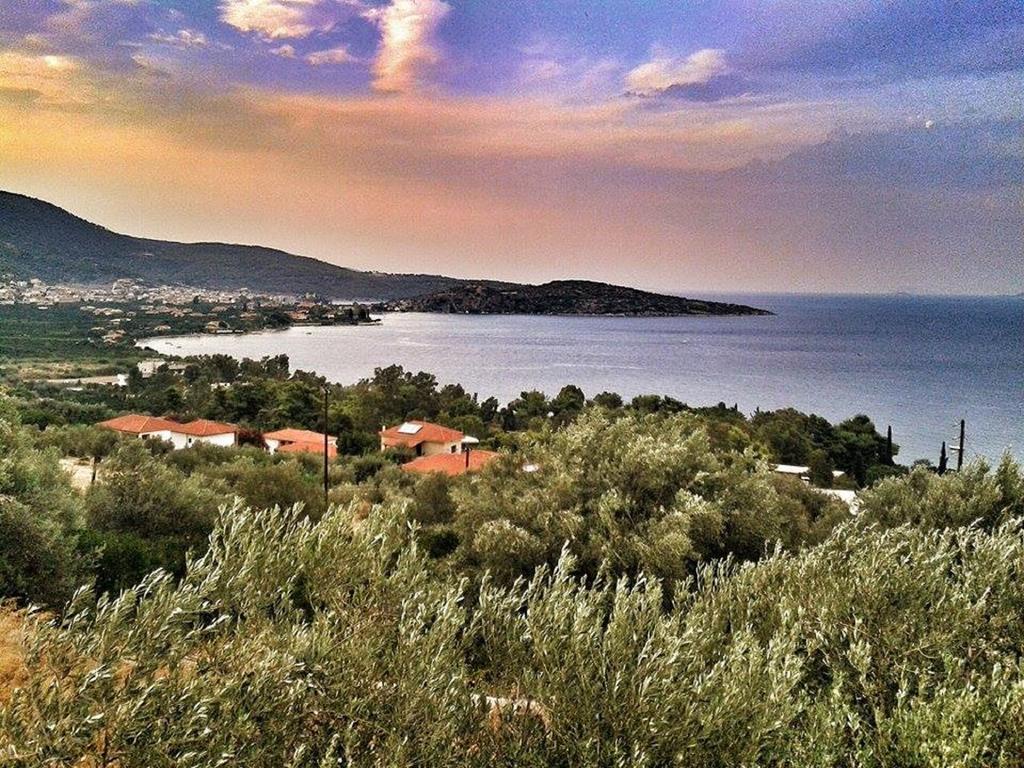 Apartmán Athina Ecofarm Epidaurus Exteriér fotografie